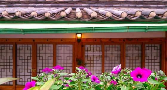 Hanok 201